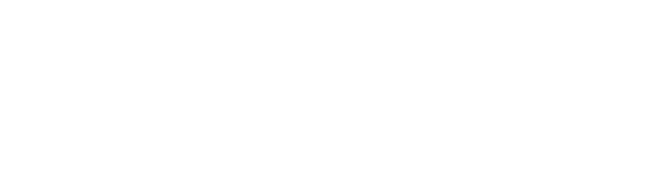 logo-beyaz-lara-danismanlik